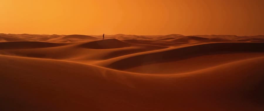 Terra — frame 1